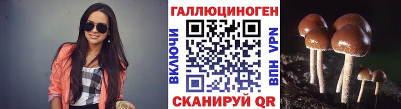 Галлюциногенные грибы Psilocybine cubensis  Купить  Крымск 