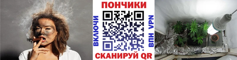 Купить  Крымск  Каннабис семена 